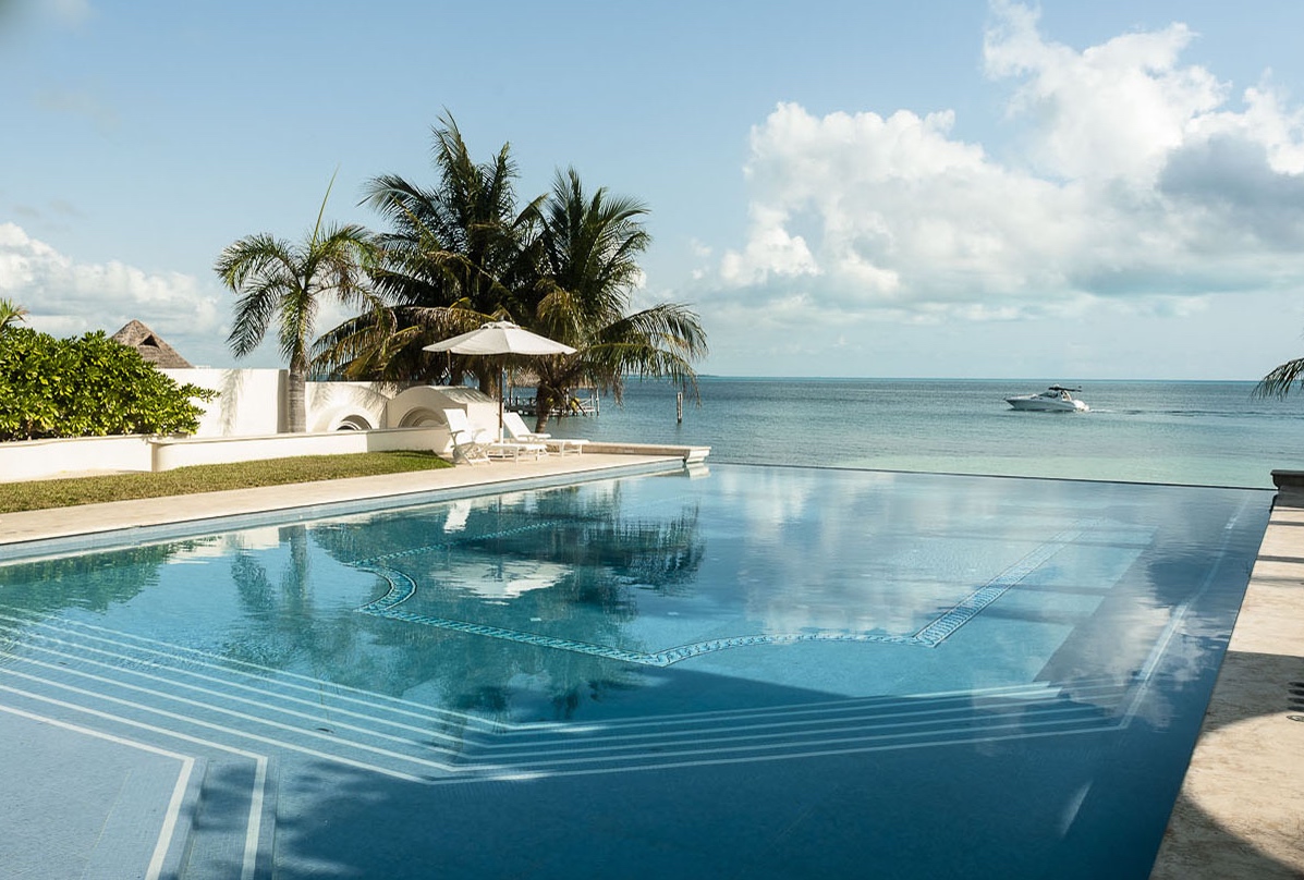 A pool with an ocean view and palm trees.